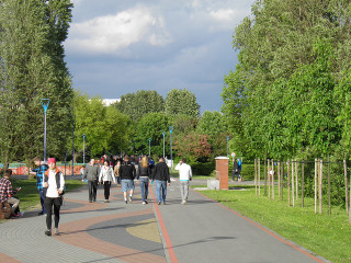 park szymanskiego