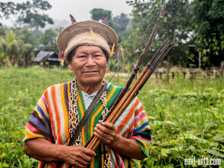 Amazonia na wariackich papierach
