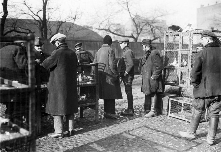 Ze słownika Warszawskiego Rodaka – lokalne odrębności językowe