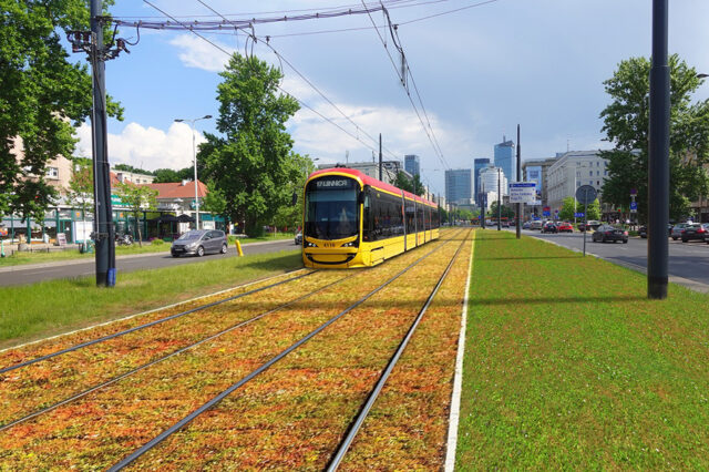 Zielona Jana Pawła Graf. Tramwaje Warszawskie