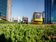 Zielone tory Fot. Tramwaje Warszawskie
