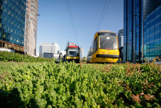 Zielone tory Fot. Tramwaje Warszawskie