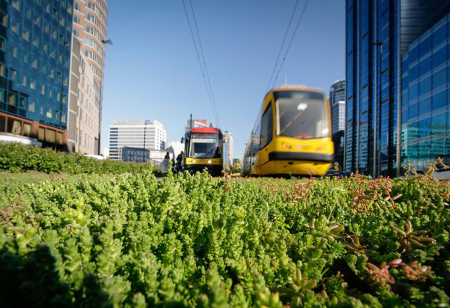 Zielone tory Fot. Tramwaje Warszawskie