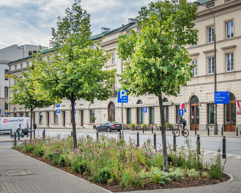 Zielone podwórka, zielone miasto