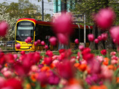 Tramwaje warszawskie Fot.S. Pulcyn UM-Warszawa