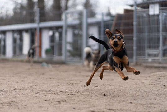 Na Paluchu Fot. napaluchu.waw.pl