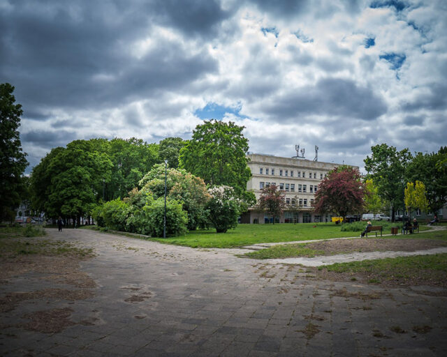 Fot. Zarząd Zieleni Warszawy